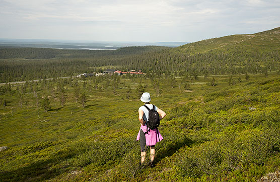 Retkeilijä Pallastunturilla